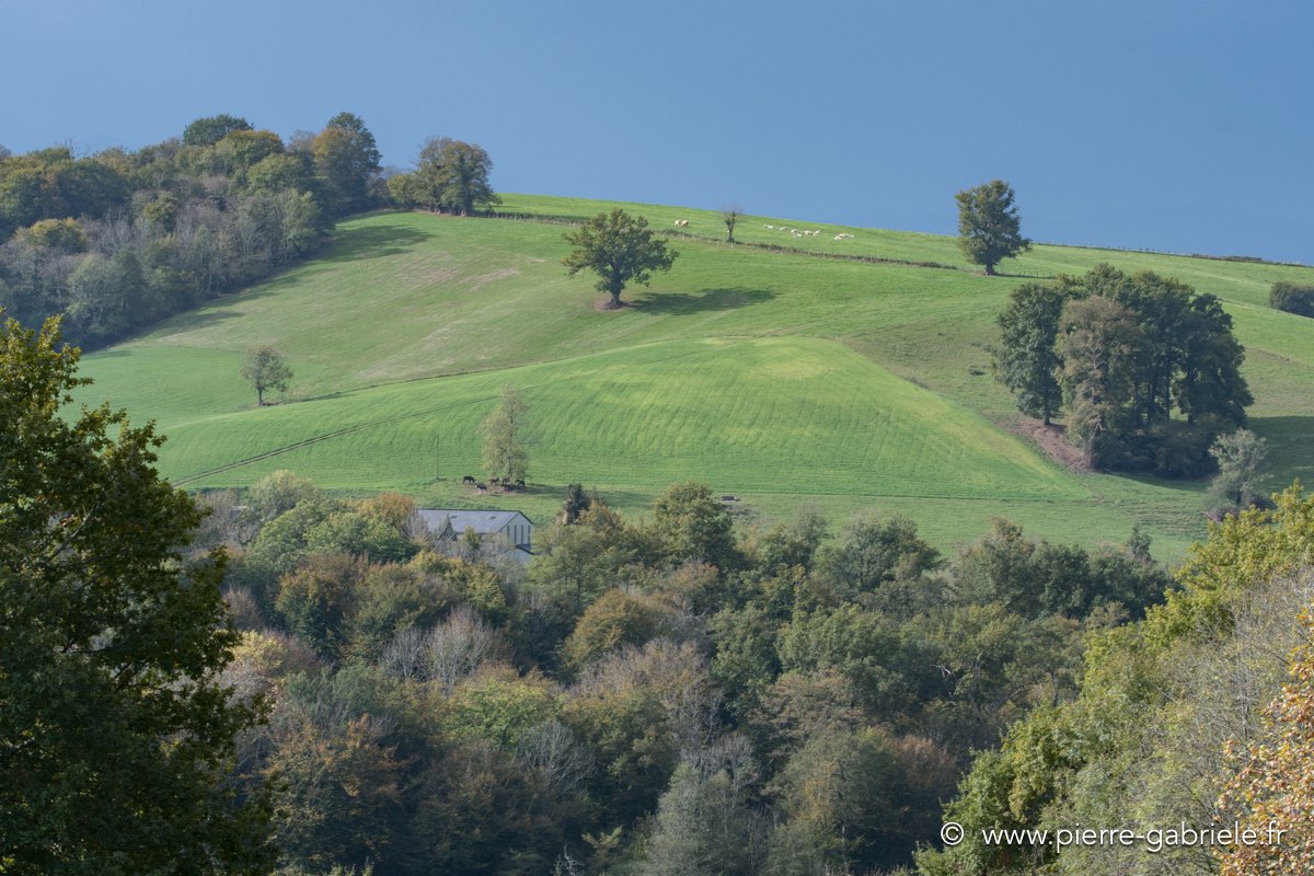route-oloron_d500_9885.jpg