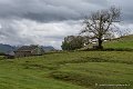 benou-10-2015_6876