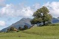 benou-d50_8417