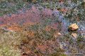 cirque-troumouse_3862