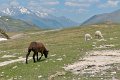 cirque-troumouse_3914