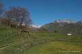 lhers-d750_6379